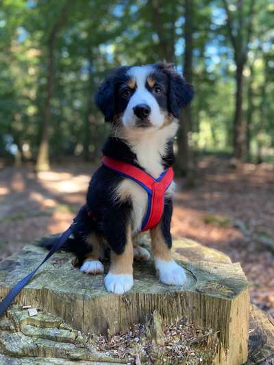 Fotochallenge Nr 107-Beitrag-Bild