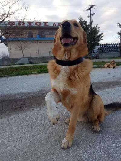 Lieblingsbild-Beitrag-Bild