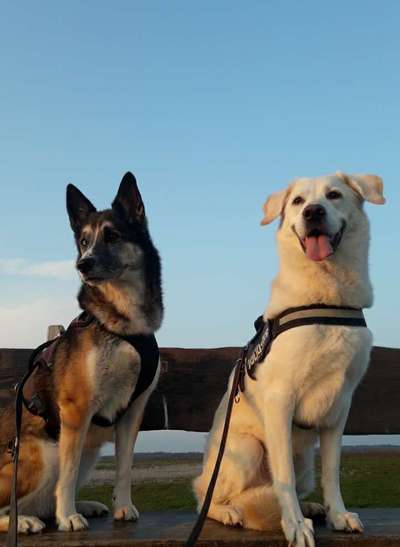 Lieblingsbild-Beitrag-Bild