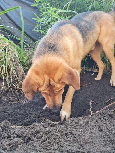 Foto-Challenge Nr. 90: Lebensfreude-Beitrag-Bild