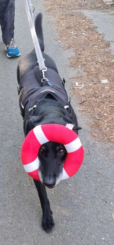 Lieblingsbild-Beitrag-Bild