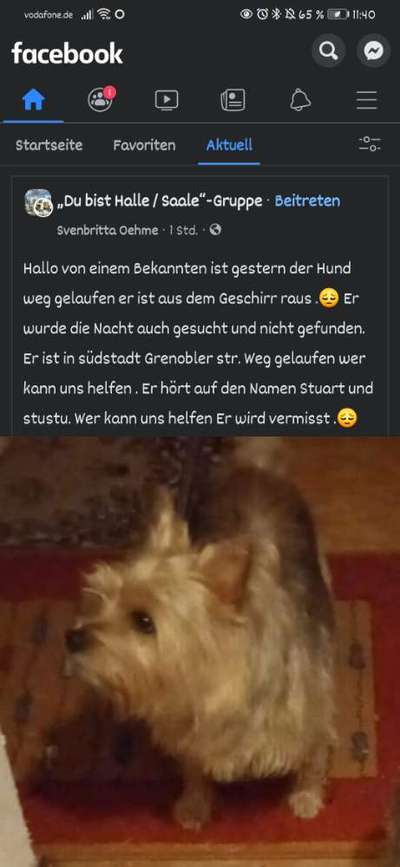 Suchmeldung-Stuart-Bild