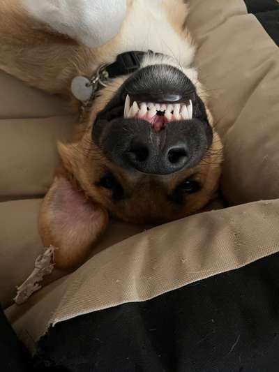 LUSTIGE FOTOS! WER KANN MITHALTEN?-Beitrag-Bild