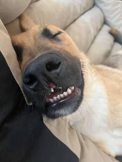 LUSTIGE FOTOS! WER KANN MITHALTEN?-Beitrag-Bild