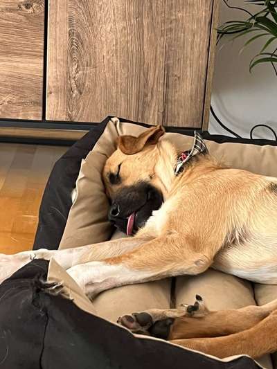 LUSTIGE FOTOS! WER KANN MITHALTEN?-Beitrag-Bild