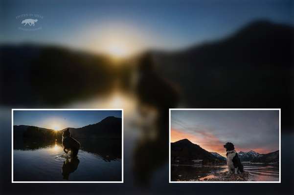 14. Collagen Challenge- Sonnenaufgang & -Untergang-Beitrag-Bild