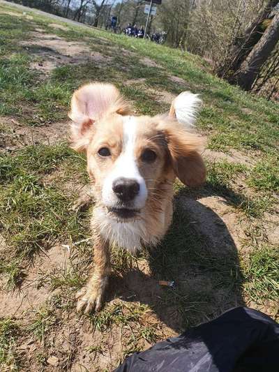 Lustige Bilder-Beitrag-Bild