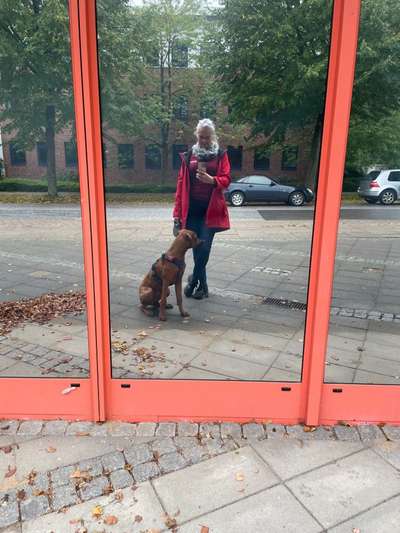 Alles rund um Hundemäntel/Bekleidung-Beitrag-Bild