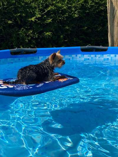 Eure schönsten Fotos mit Wasser-Beitrag-Bild