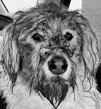 Fotochallange Nr. 57     PORTRÄT.   Beendet!!!!!!!!-Beitrag-Bild