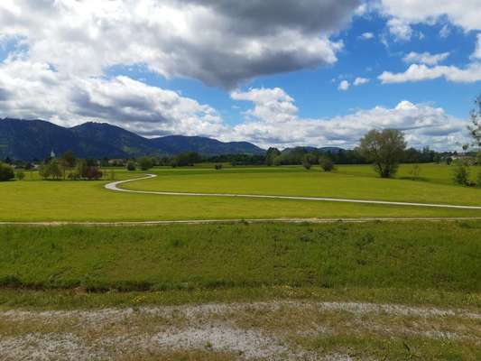 Hundeauslaufgebiet-Arzer Wiese und Inndamm-Bild