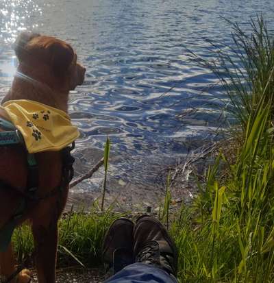 Dogorama-Monats-Challenge-Mai "Wasser"-Beitrag-Bild