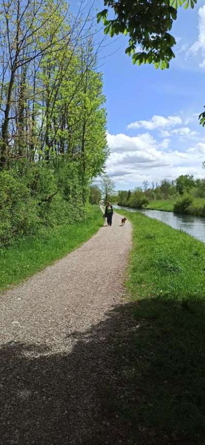 Hundeauslaufgebiet-Hinter der alten Spinnerei-Bild