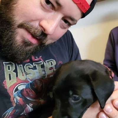 Hundetreffen-Welpen und Junghundtreffen-Profilbild