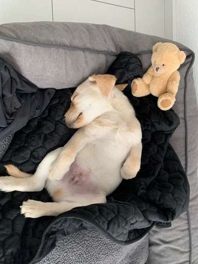 Sie werden so schnell erwachsen ...-Beitrag-Bild