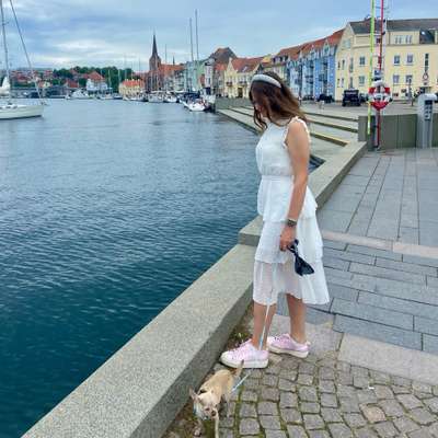 Hundetreffen-Gassi Runde-Profilbild