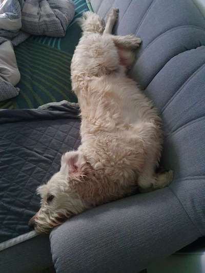 Die unbequemsten und lustigsten Schlafpositionen-Beitrag-Bild