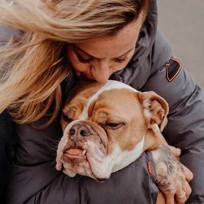 Hundetreffen-Spielen und toben