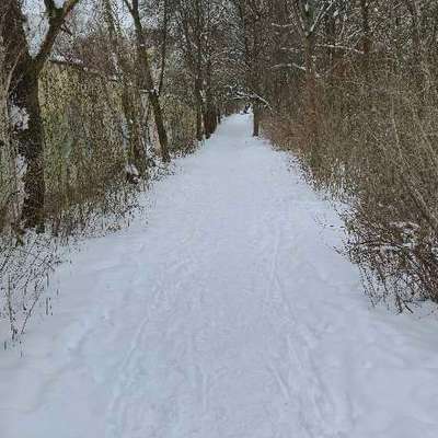 Giftköder-Giftköder-Bild