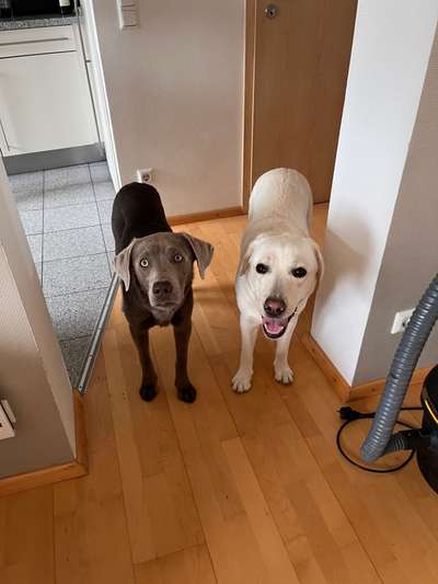 Lieblingsbild-Beitrag-Bild