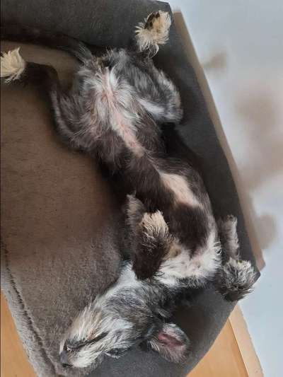 Fotochallenge Nr.65-Beitrag-Bild