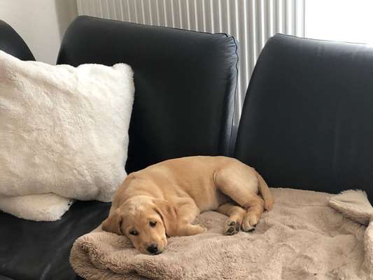 Foto Challenge 82-Beitrag-Bild