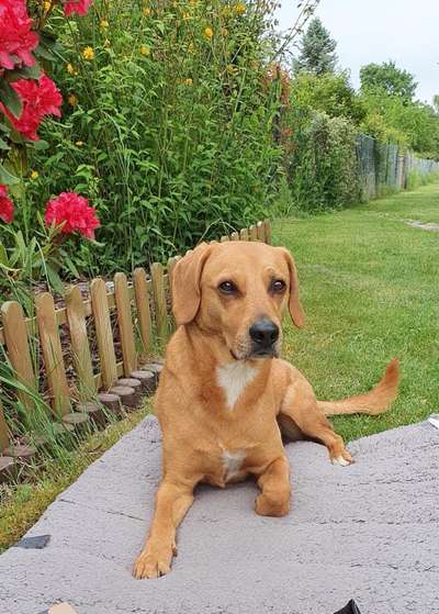 Fotochallange Nr. 57     PORTRÄT.   Beendet!!!!!!!!-Beitrag-Bild