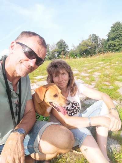 Martin Rütter Webinar – Fragerunde-Beitrag-Bild