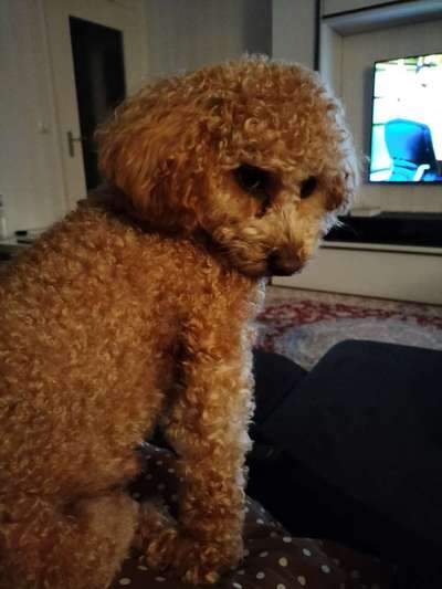 Foto-Challange No.1 - Alles aber nicht die Kamera-Beitrag-Bild