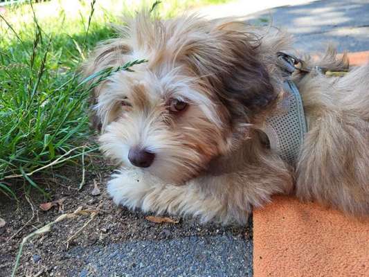 Zeigt eure Portraits-Beitrag-Bild