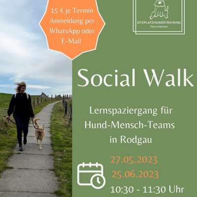 Hundetreffen-Social Walk - Lernspaziergang in Rodgau-Bild