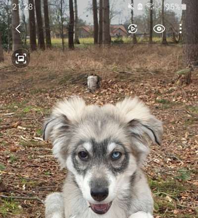 Fotochallange Nr. 57     PORTRÄT.   Beendet!!!!!!!!-Beitrag-Bild