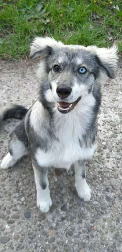 Lieblingsbild-Beitrag-Bild