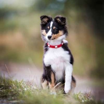 Foto Challenge 3-Beitrag-Bild