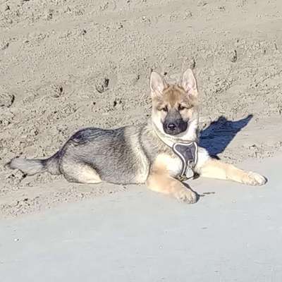 Sie werden so schnell erwachsen ...-Beitrag-Bild