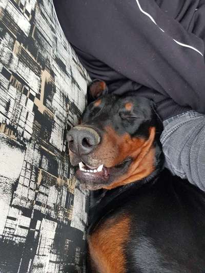 Die unbequemsten und lustigsten Schlafpositionen-Beitrag-Bild