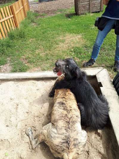 Lieblingsbild-Beitrag-Bild