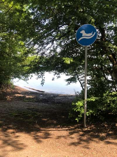 Hundeauslaufgebiet-Hundestrand Waidsee Weinheim-Bild