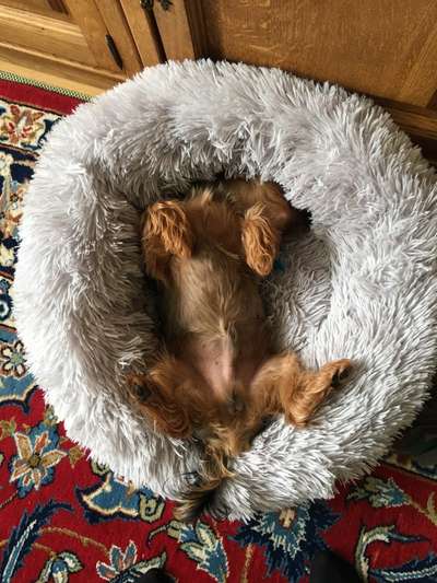 Foto Challenge - Zeigt her eure Bäuche-Beitrag-Bild