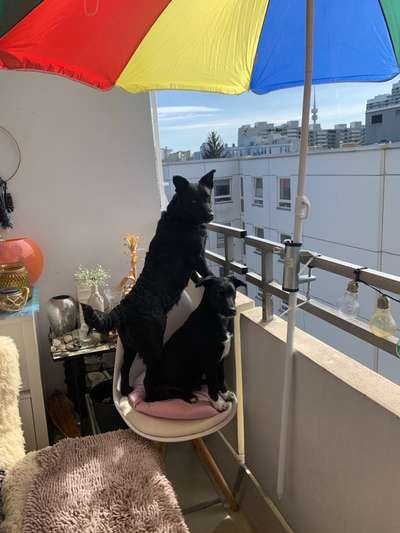 Klischeedenken einiger Menschen-Beitrag-Bild