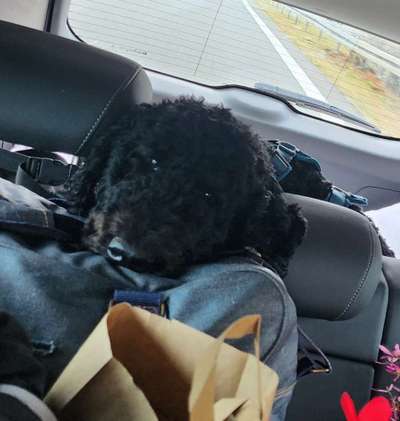 Freddys Kummerkasten-Beitrag-Bild