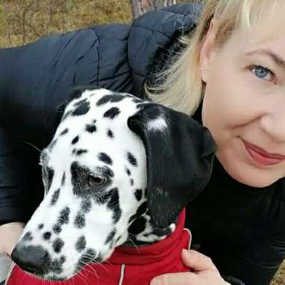 Hundetreffen-Bin an Treffen zwecks Gassirunde interessiert-Profilbild