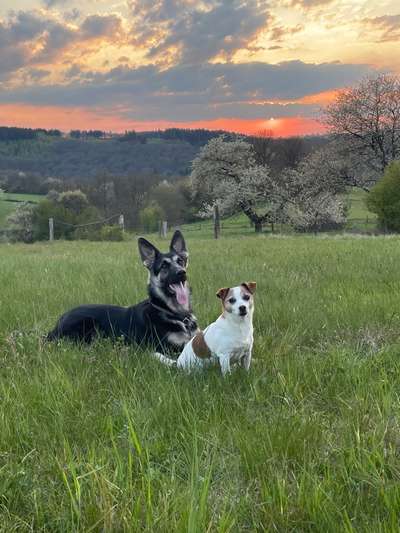 Dogorama Photo Challenge - Gegensätze-Beitrag-Bild