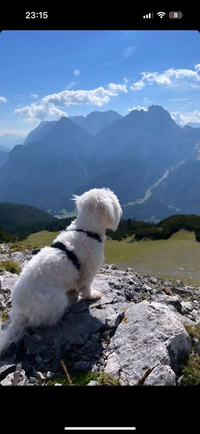 45. Collage Challenge - Lieblingsurlaubs/ Ausflugsziele-Beitrag-Bild