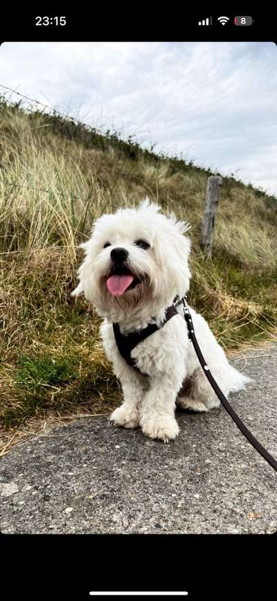 45. Collage Challenge - Lieblingsurlaubs/ Ausflugsziele-Beitrag-Bild