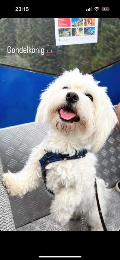 45. Collage Challenge - Lieblingsurlaubs/ Ausflugsziele-Beitrag-Bild