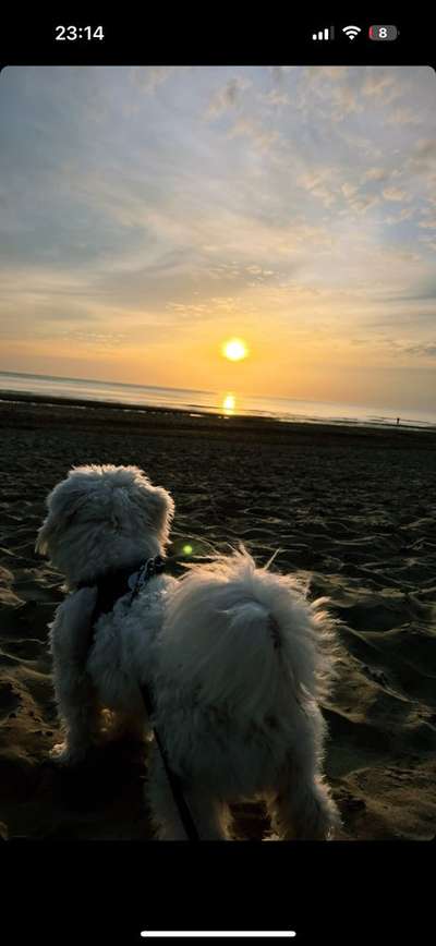 45. Collage Challenge - Lieblingsurlaubs/ Ausflugsziele-Beitrag-Bild