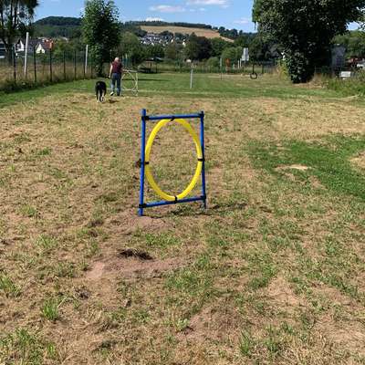 Hundetreffen-Senioren Treff-Bild