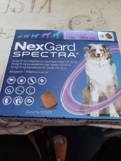 Tabletten oder spot on-Beitrag-Bild