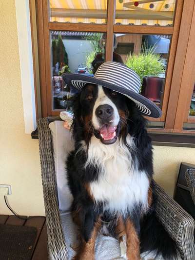 Fotochallange Nr. 57     PORTRÄT.   Beendet!!!!!!!!-Beitrag-Bild